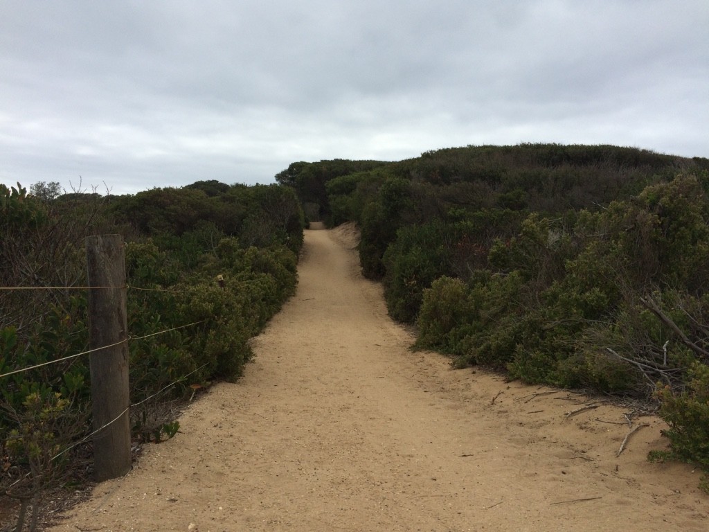 The gravel running track from Jan Juc to Torquay 