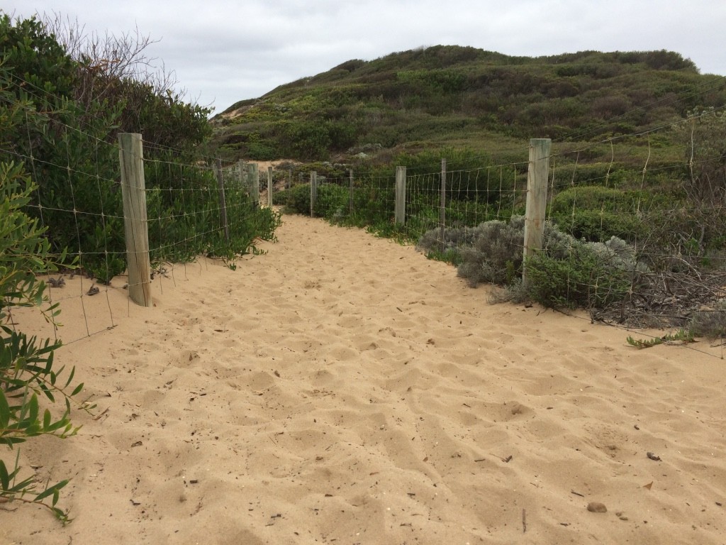 The sand running track along the cliff tops near Jan Juc 